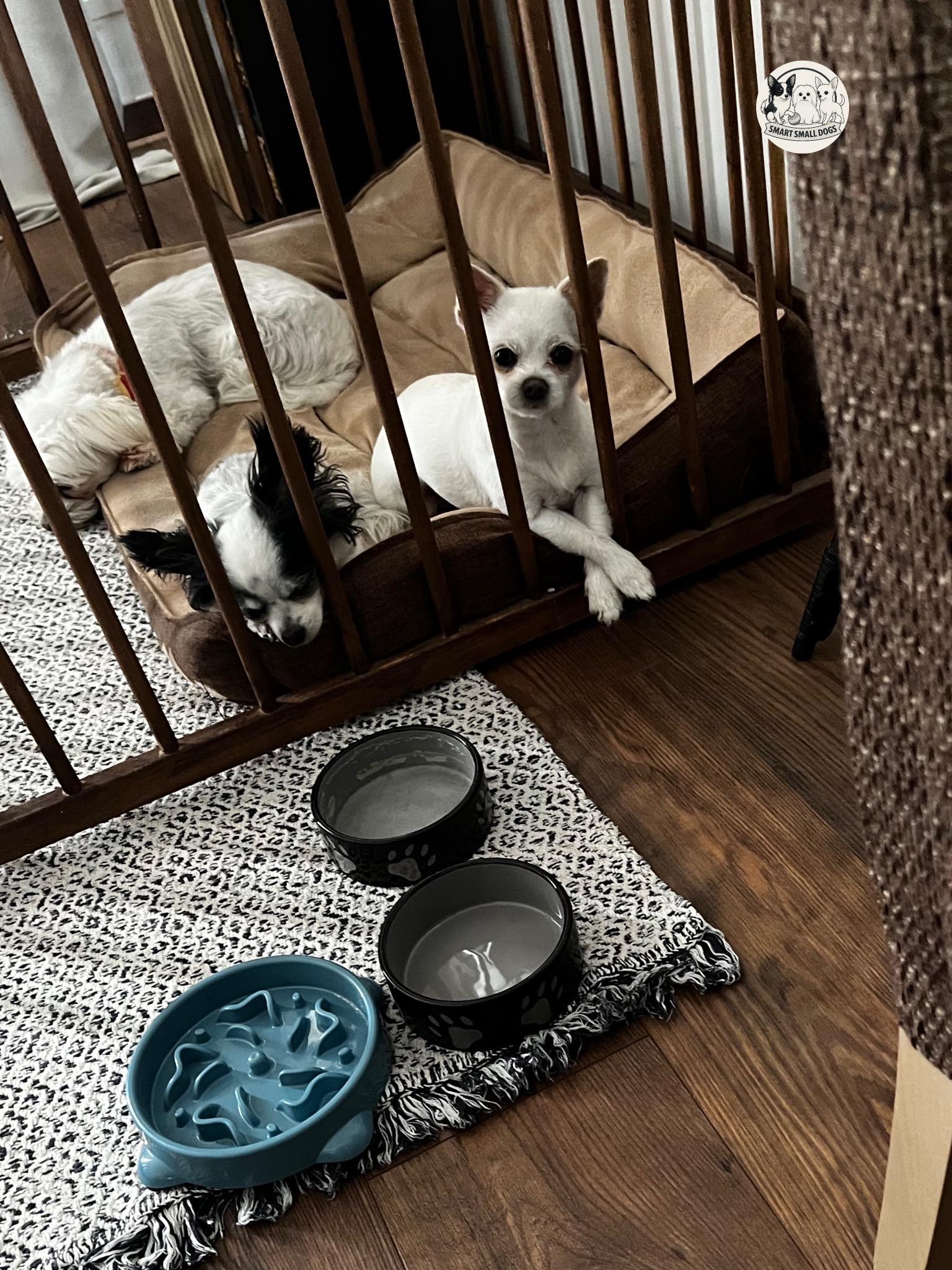 Második kép leírása